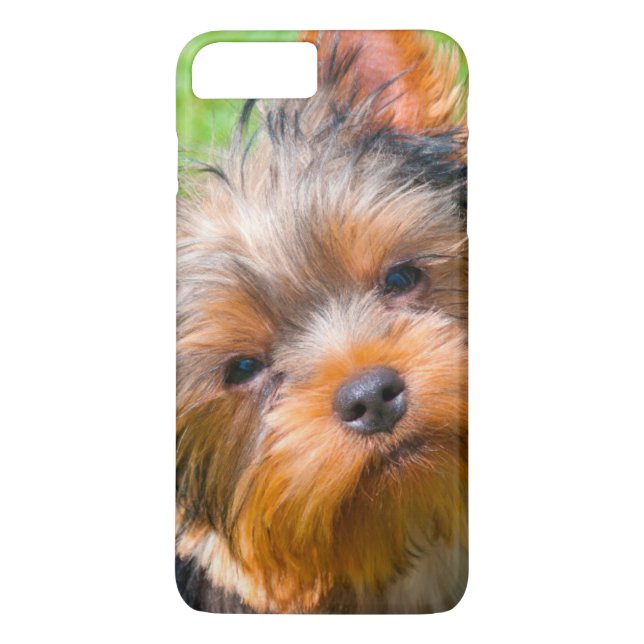 Capa Para iPhone, Case-Mate Yorkshire Terrier olhando para cima (Verso)