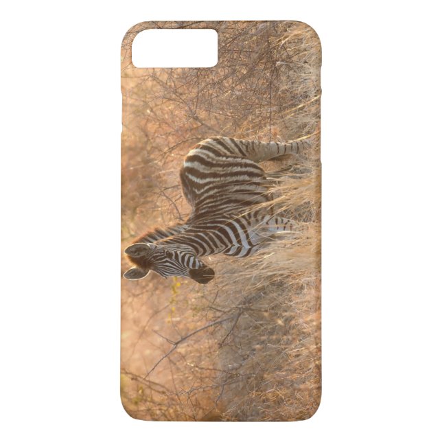 Capa Para iPhone, Case-Mate Zebra Foto à luz da manhã (Verso)