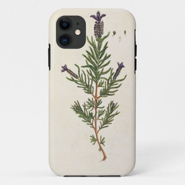 Capa Para iPhone Da Case-Mate A lavanda francesa, chapeia 241 'de um Herbal (Verso)