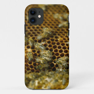 Capa Para iPhone Da Case-Mate Abehas Na Colmeia, Cabo Ocidental, África do Sul