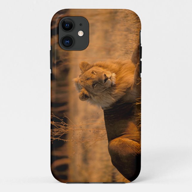 Capa Para iPhone Da Case-Mate África, Botsuana, Delta do Okavango. Leão (Panther (Verso)