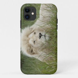 Capa Para iPhone Da Case-Mate África do Sul, East London, Inkwenkwezi Private