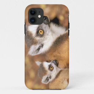 Capa Para iPhone Da Case-Mate África, Madagascar, Reserva Privada Berenty.