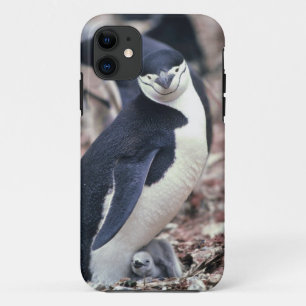 Capa Para iPhone Da Case-Mate Água branca preta animal bonito do pássaro do