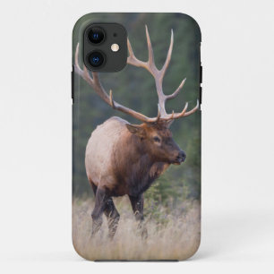 Capa Para iPhone Da Case-Mate Alce das Montanhas Rochosas