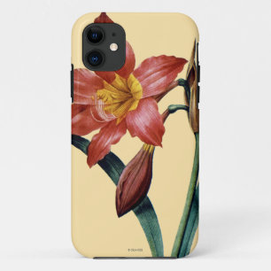 Capa Para iPhone Da Case-Mate Amaryllis