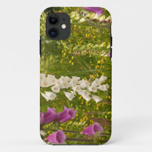 Capa Para iPhone Da Case-Mate América do Norte, Canadá, Ilhas Queen Charlotte, 5