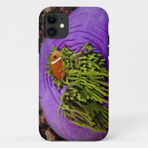 Capa Para iPhone Da Case-Mate Anemonefish e grande anêmona