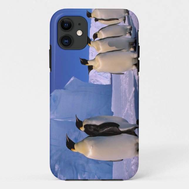 Capa Para iPhone Da Case-Mate Antártica, Território Antártico Australiano, 7 (Verso)