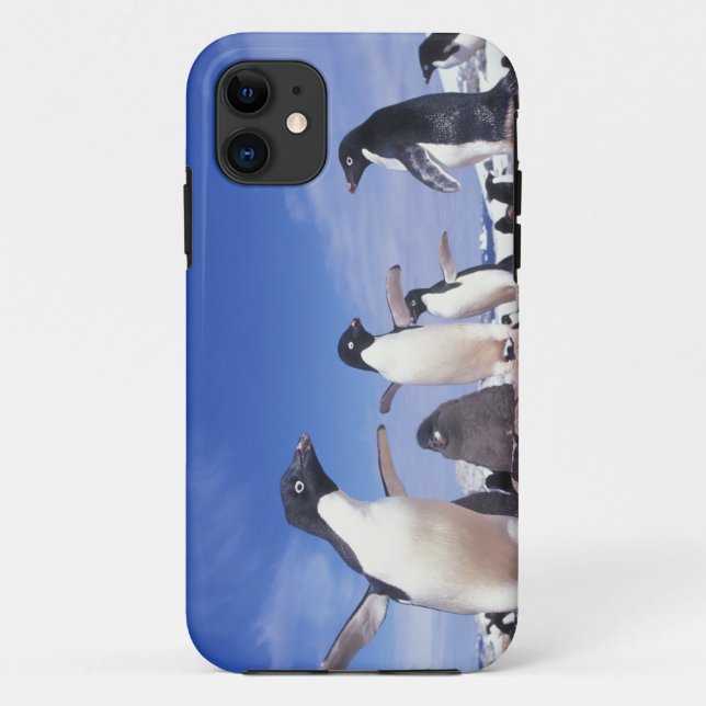 Capa Para iPhone Da Case-Mate Antártida, Pinguim Adelie Pygoscelis (Verso)