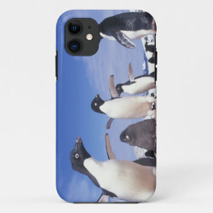 Capa Para iPhone Da Case-Mate Antártida, Pinguim-de-adélia Pygoscelis