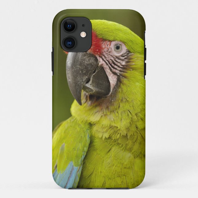 Capa Para iPhone Da Case-Mate Arara-canindé (Verso)