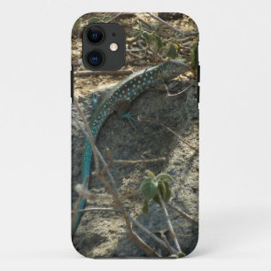 Capa Para iPhone Da Case-Mate Aruban Whiptail Lizard Fotografia Animal Tropical