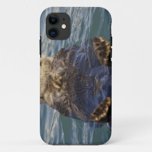 Capa Para iPhone Da Case-Mate As lontras de mar jogam em iceberg na entrada da