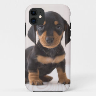 Capa Para iPhone Da Case-Mate Assento diminuto do Dachshund