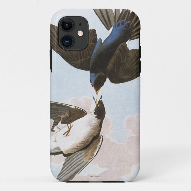 Capa Para iPhone Da Case-Mate Audubon: Andorinha de árvore (Verso)