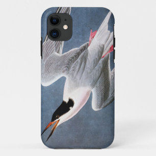 Capa Para iPhone Da Case-Mate Audubon: Andorinha-do-mar rósea