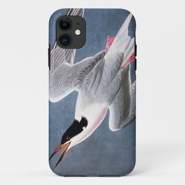 Capa Para iPhone Da Case-Mate Audubon: Andorinha-do-mar rósea (Verso)
