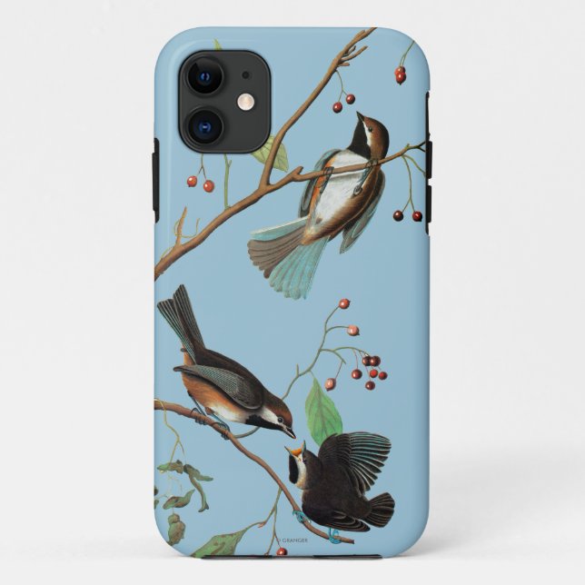 Capa Para iPhone Da Case-Mate Audubon: Chickadee (Verso)