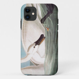 Capa Para iPhone Da Case-Mate Audubon: Cisne de trompetista