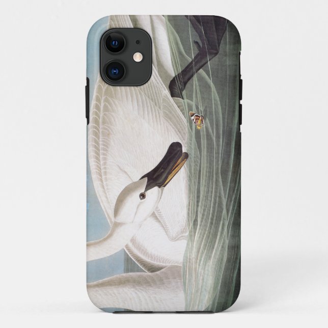 Capa Para iPhone Da Case-Mate Audubon: Cisne de trompetista (Verso)