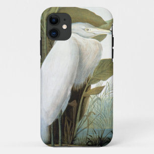 Capa Para iPhone Da Case-Mate Audubon: Egret avermelhado ou garça-real roxa