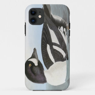 Capa Para iPhone Da Case-Mate Audubon: O Goldeneye do carrinho de mão