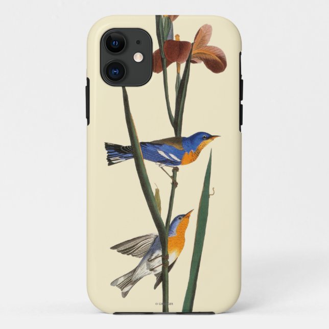 Capa Para iPhone Da Case-Mate Audubon: Toutinegra (Verso)
