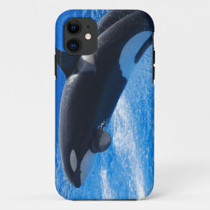 Capa Para iPhone Da Case-Mate Baleia de salto da orca
