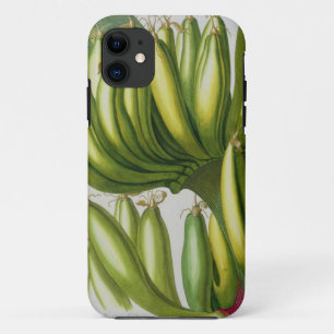 Capa Para iPhone Da Case-Mate Banana, gravada por Johann Jakob Haid (1704-67) pl