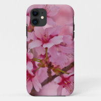 Banho de cereja rosa japonês