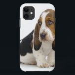 Capa Para iPhone Da Case-Mate Basset Hound<br><div class="desc">Grande artigo pequeno de Basset Hound</div>