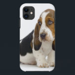 Capa Para iPhone Da Case-Mate Basset Hound<br><div class="desc">Grande artigo pequeno de Basset Hound</div>