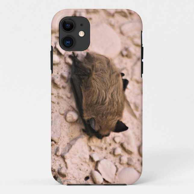 Capa Para iPhone Da Case-Mate Bastão de Brown pequeno (Verso)