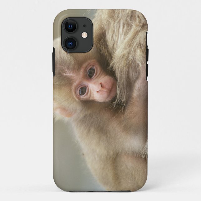 Capa Para iPhone Da Case-Mate Bebê Macaco da Neve, Jigokudani, Nagano, Japão 2 (Verso)