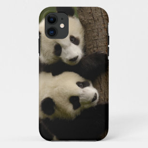 Capa Para iPhone Da Case-Mate Bebês da panda gigante (melanoleuca do Ailuropoda