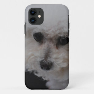 Capa Para iPhone Da Case-Mate Bichon doce Frise