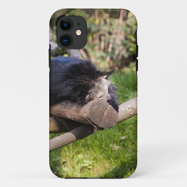 Capa Para iPhone Da Case-Mate Binturong dormindo (Verso)
