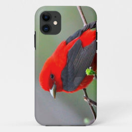 Capa Para iPhone Da Case-Mate Bird red_iphone