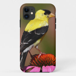 Capa Para iPhone Da Case-Mate Bird yellow_iphone