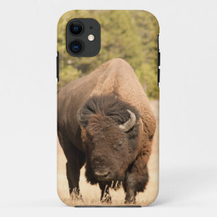 Capa Para iPhone Da Case-Mate Bisonte