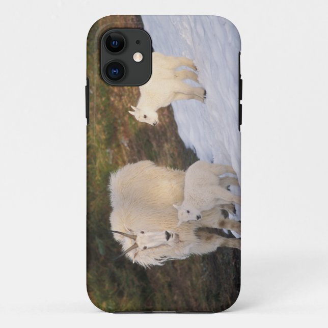 Capa Para iPhone Da Case-Mate cabras montanhosas (Verso)