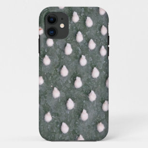 Capa Para iPhone Da Case-Mate Cactus Plant Close-up Photo iPhone SE + iPhone 5/5