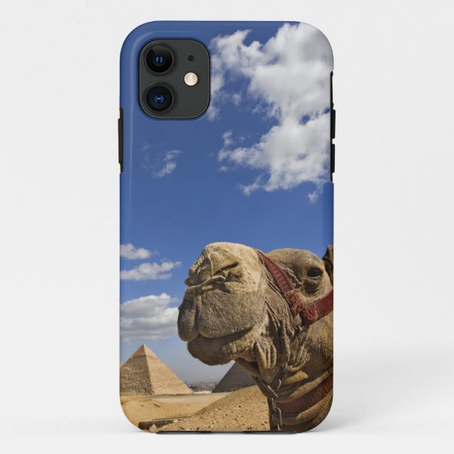 Capa Para iPhone Da Case-Mate Camelo em frente às pirâmides de Gizé, Egito, (Verso)