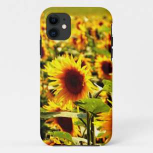 Capa Para iPhone Da Case-Mate campo de girassóis