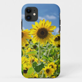 Capa Para iPhone Da Case-Mate Campo de Sunflower