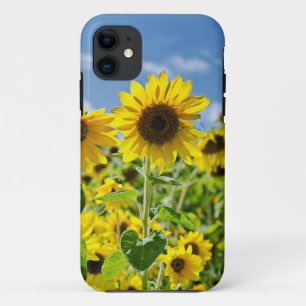 Capa Para iPhone Da Case-Mate Campo dos girassóis