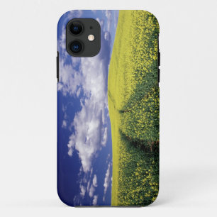 Capa Para iPhone Da Case-Mate Canola amarela no Condado de Whitman, estado de Wa