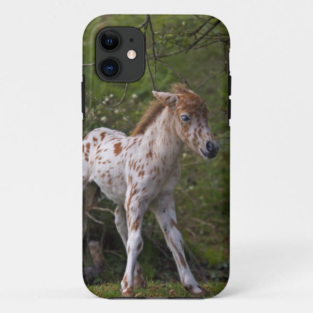 Capa Para iPhone Da Case-Mate Capa de iPhone 5 com Sardas (Verso)