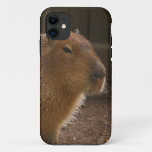 Capa Para iPhone Da Case-Mate Capybara